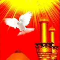 داوطلبانه معرفی میکنم