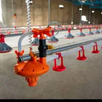 دانخوری بشقابی آبخوری