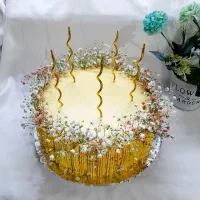 کیک های خانگی|خوردنی و آشامیدنی|بم, |دیوار