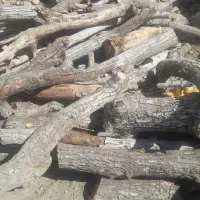 فروش چوب باغی|عمدهفروشی|اسفندقه, |دیوار