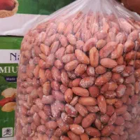 بادوم زمینی