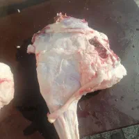 قصابی|خوردنی و آشامیدنی|تربتحیدریه, پائین ولایت|دیوار