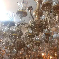 لوسترشاخه ای