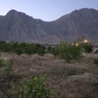 فروش باغ ۱۰۰۰ متری