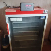 دستگاه جوجه کشی