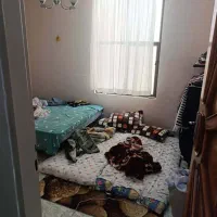 فروش آپارتمان دو خوابه واقع در کوی قضات|فروش آپارتمان|فیروزآباد (فارس), |دیوار