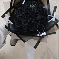 گل رز ربانی حجیم پرنسا0|گل و گیاه طبیعی|شیراز, کوشک میدان|دیوار