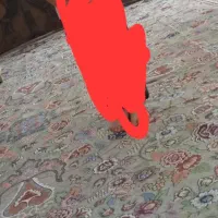 روفرشی درحد۱۲متری