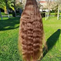 بزرگترین مرکز خرید مو بانوان (گلستان)