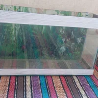 اکواریوم|ماهی|قم, پردیسان|دیوار