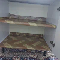 عروس هلندی دو عدد به همراه یک کابینت برای زیر قفس|پرنده|تهران, امیر بهادر|دیوار