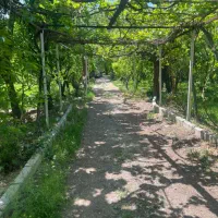 فروش-یک-قطعه-باغ-خوش-قواره