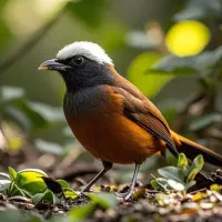 خدمات آرایشگری بانوان با تخفیف