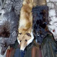 فروشنده خانوم