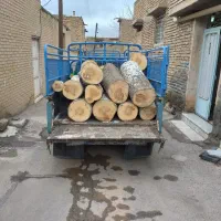 خرید و بورش انواع چوب