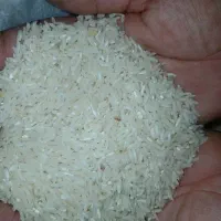 برنج شمیم گهر ضیغمی منطقه رستم