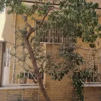 خوابگاه بهاران