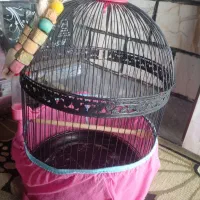قفس پرتده