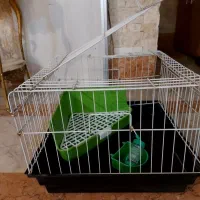 قفس خرگوش و خوکچه هندی در حد نو با کیفیت عالی|لوازم جانبی حیوانات|تهران, شهرک پرواز|دیوار