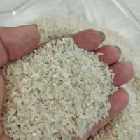 برنج سرلاشه طارم هاشمی|خوردنی و آشامیدنی|تهران, مجیدآباد|دیوار