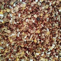 دان پرندگان|لوازم جانبی حیوانات|قلعه نو, |دیوار