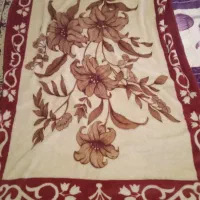 دوعددپتونو ویک دوعددکلاه ایمنی دسته دو|رختخواب، بالش، پتو|نهاوند, |دیوار