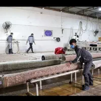 قالیشویی ورفوگریی بومهن|خدمات نظافت|بومهن, |دیوار