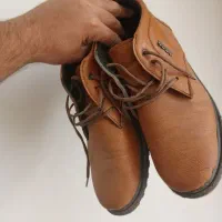 پوتین درحد نو 44