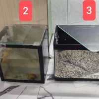 آکواریوم پلنت و زایشگاه 3 عدد