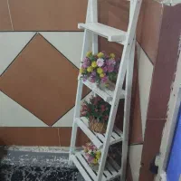 استند۱ تومن
