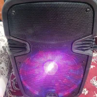 باند ۱۲ اینچ شارجی