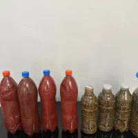 رب گوجه ارگانیک خانگی و ترشی بنه