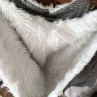 پالتو و مانتو|لباس|قم, سید معصوم|دیوار