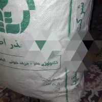 بذر یونجه بغدادی ، درجه یک