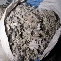 کود کفتر