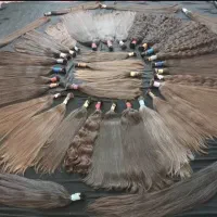 جشنواره پاییزی خرید مو (خریدار مو . بدون واسطه)