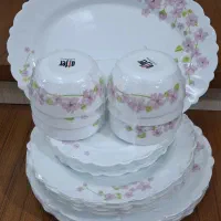 آرکوپال ۲۵ پارچه