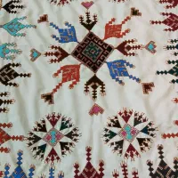 سرویس بالش پشتی کمره فنوجی