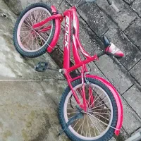 دوچرخه سایز ۲۰ کوچک|دوچرخه، اسکیت، اسکوتر|نوشهر, |دیوار