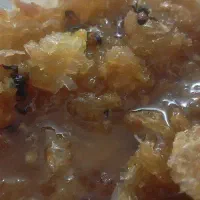 عسل کوهی