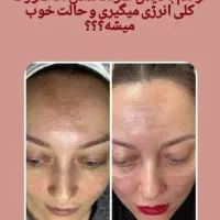 محصولات گیاهی و با کیفیت