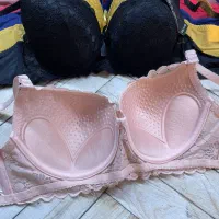 انواع سوتین|لباس|اصفهان, باغ نگاره|دیوار