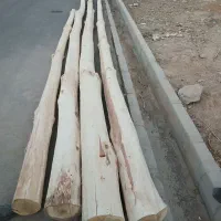 چوب ( تیر۷متری)