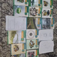 کتاب پایه دوازدهم رشته علوم انسانی