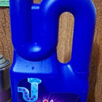 شرکت رز سفید پرستوی تهران