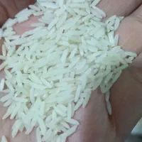 برنج هاشمی دانه بلند اعلا
