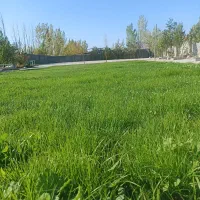 خدمات فضای سبز و باغبانی (کاشت چمن،سم پاشی،چالکود)