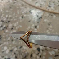 انگشتروسکه پارسیان