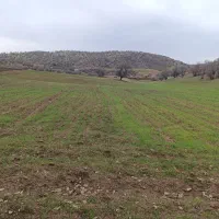 زمین کشاورزی دیم زیر قیمت منطقه