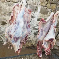 گوشت مراسمات با تخفیف ویژه فروشی|خدمات پذیرایی، مراسم|مسجد سلیمان, |دیوار